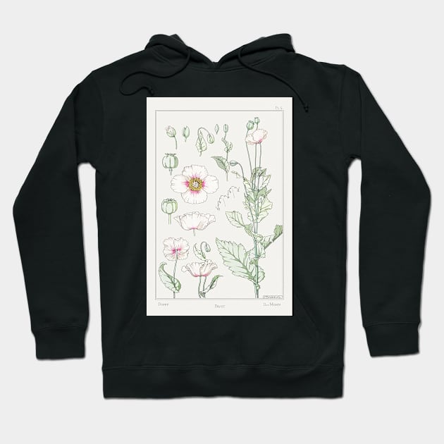 Maurice Pillard Verneui's 1896 Poppy. Hoodie by Kitchen Sink Stickers and More!